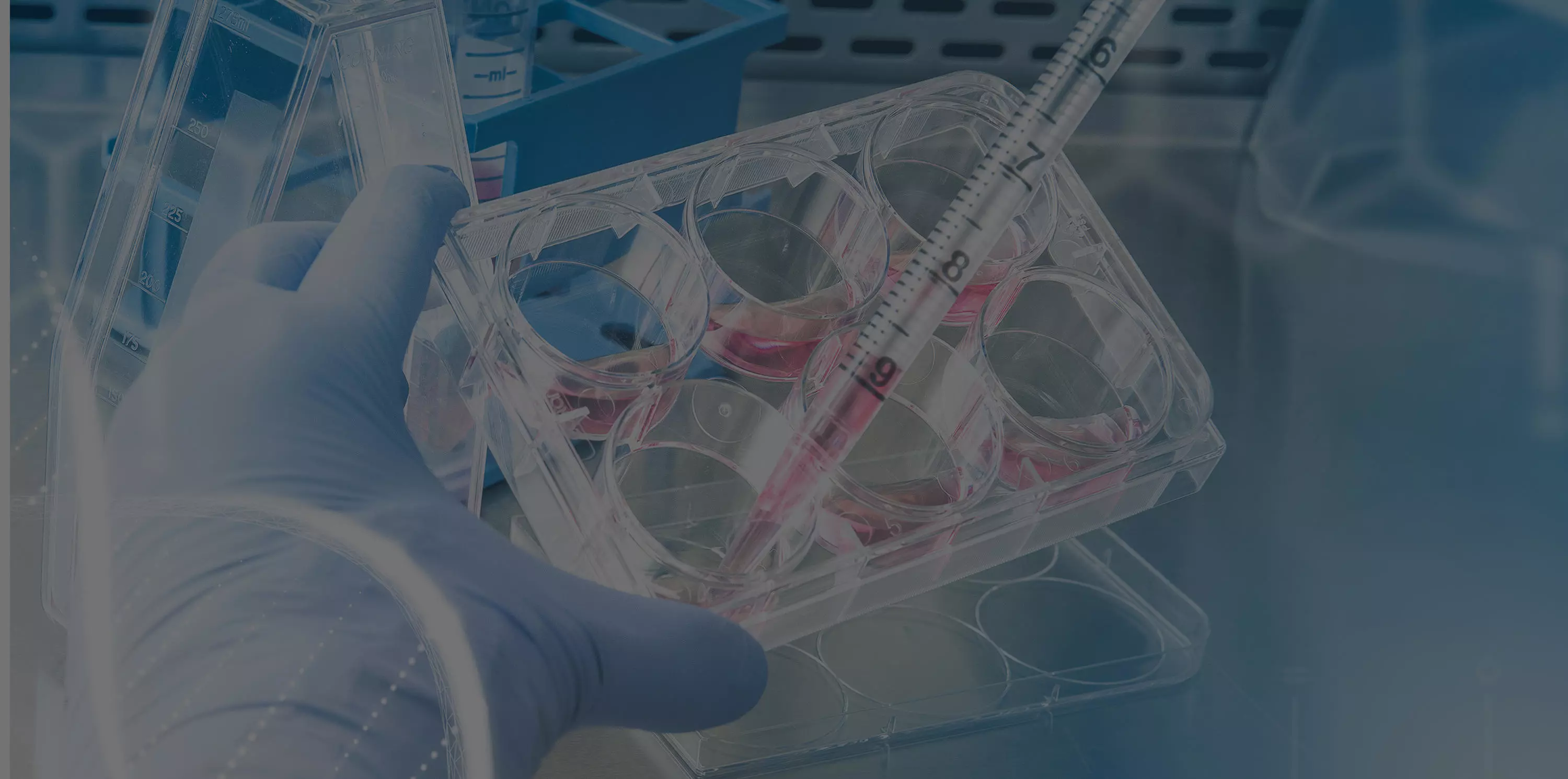 biopharmaceutical banner
