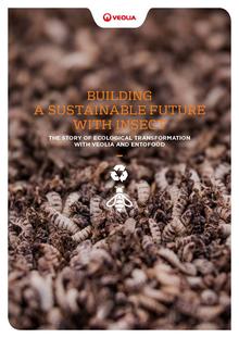Building a sustainable future with insect